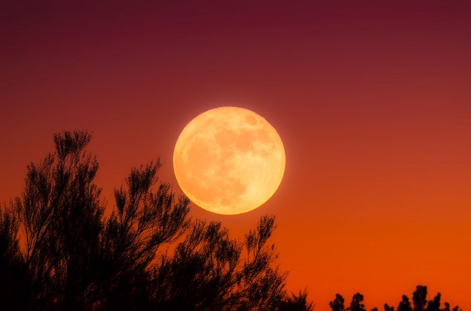 why-is-it-called-a-harvest-moon-facts-in-agricultural-astrology