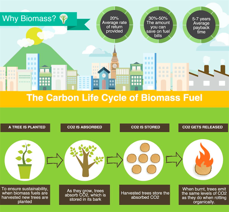 uses of biomass energy
