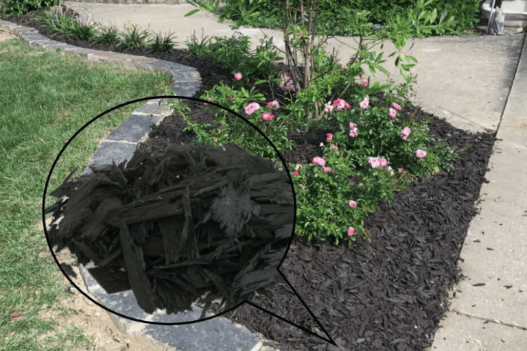 Is Rubber Mulch Safe For Plants?