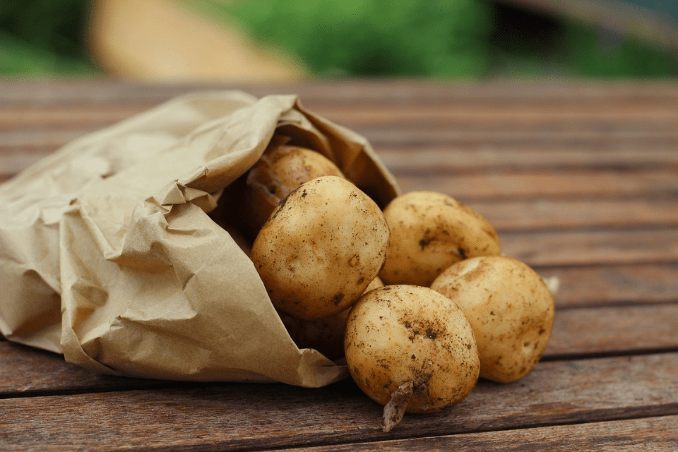 What Can I Do With Tiny Potatoes from Harvest