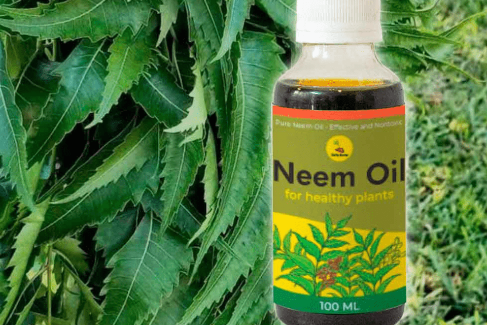 Will Neem Oil Kill Herbs